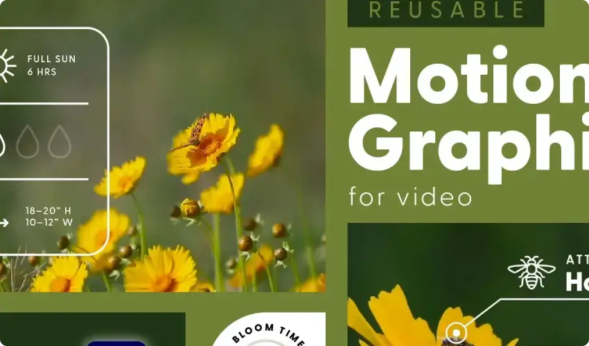 Learn Video Editing for Social Media Content